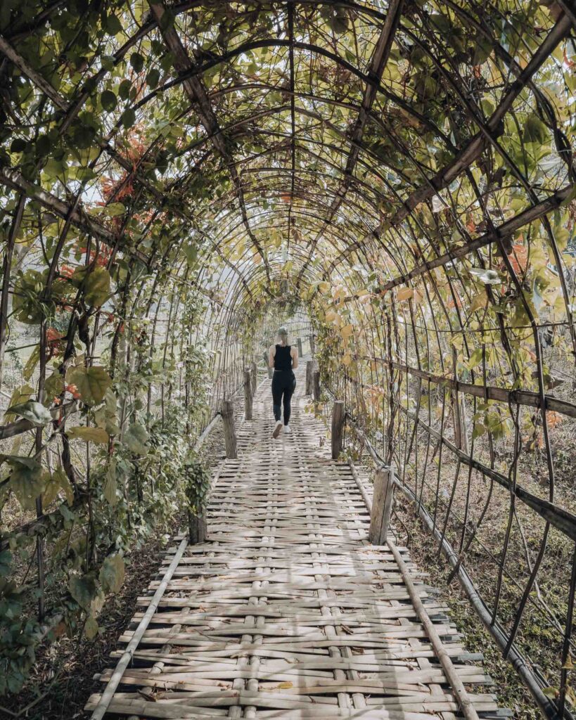 Bamboo bridge in Pai