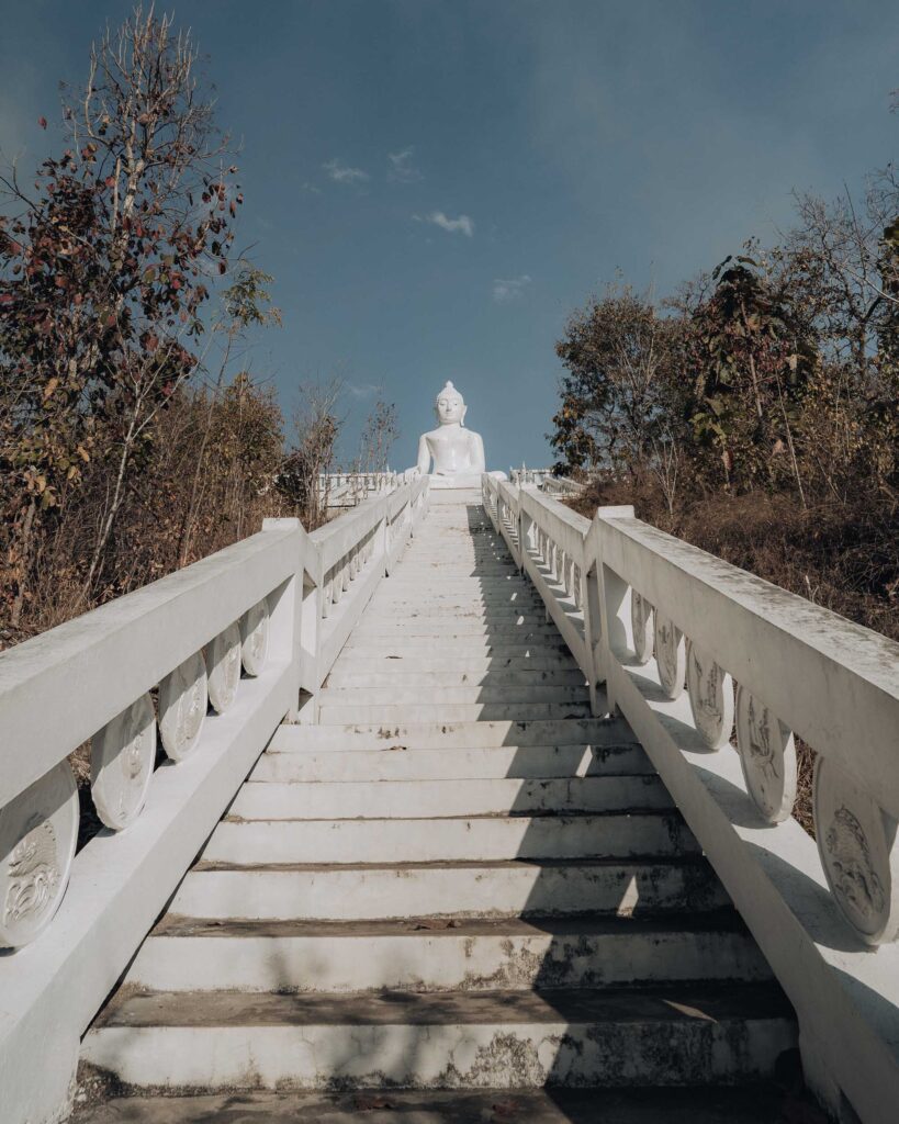 The White buddha Pai