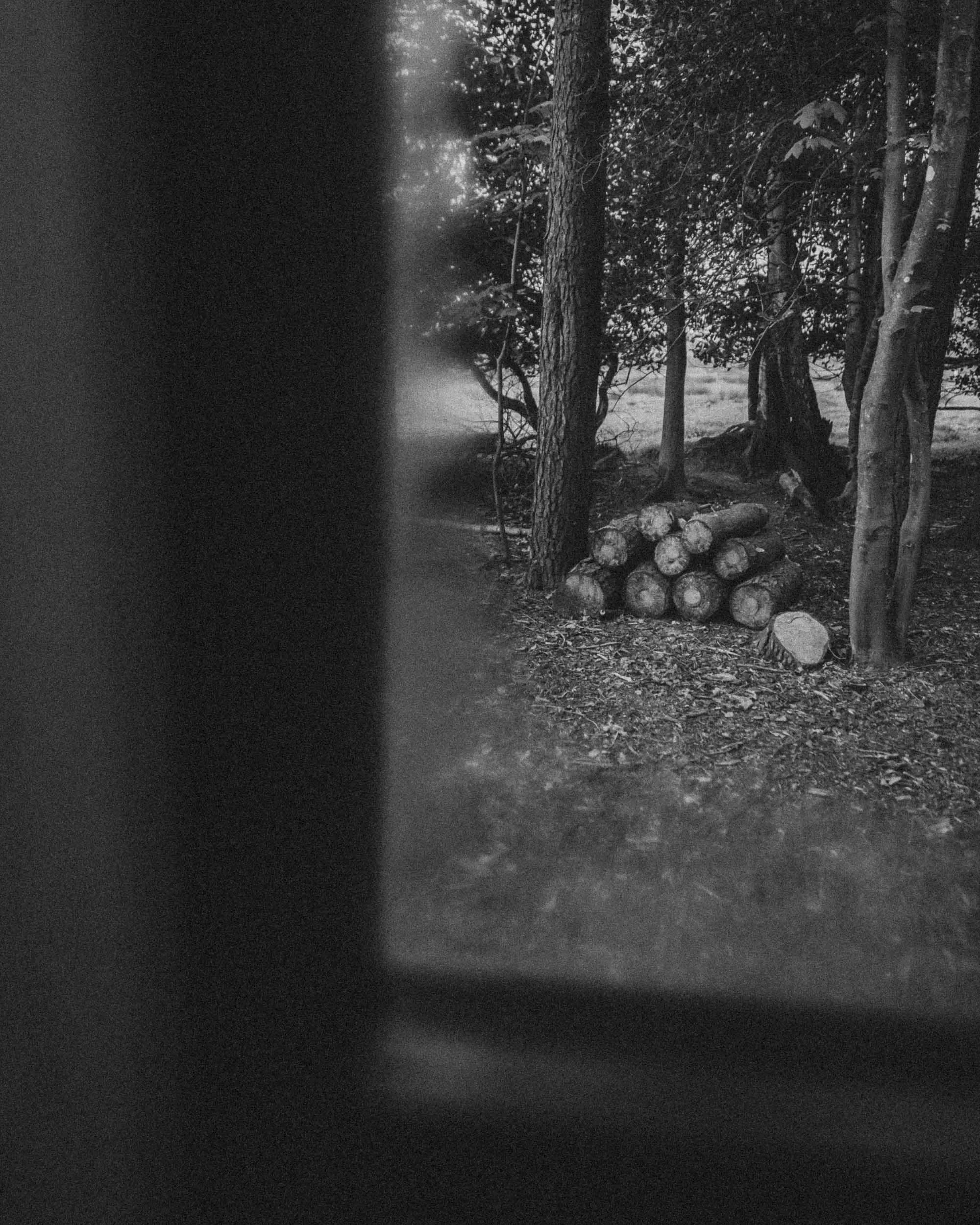 A black and white photo of a stack of logs