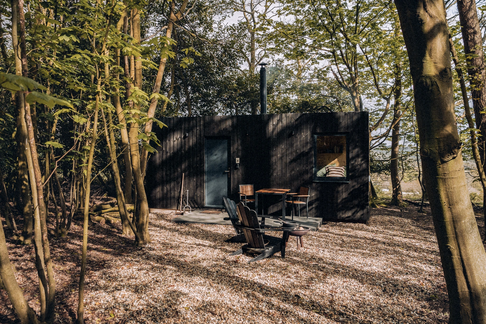 Unplugged Mabel Cabin surrounded by woodland in beautiful natural light