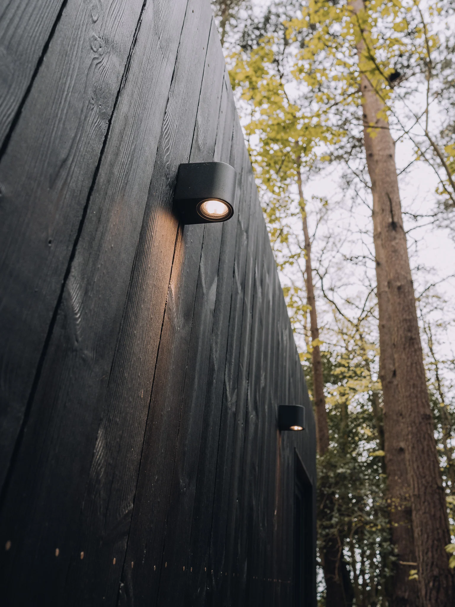 Wooden exterior of the Unplugged Mabel cabin surrounded by woodland in East Sussex