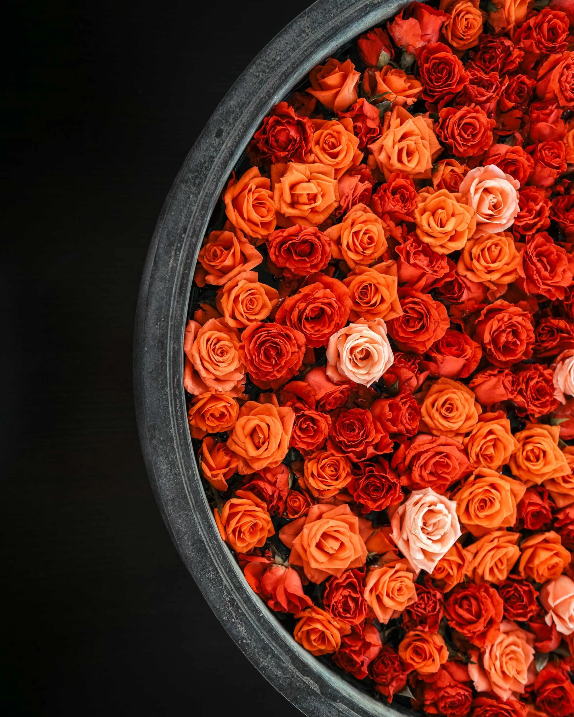 A large bowl filled with red and orange roses