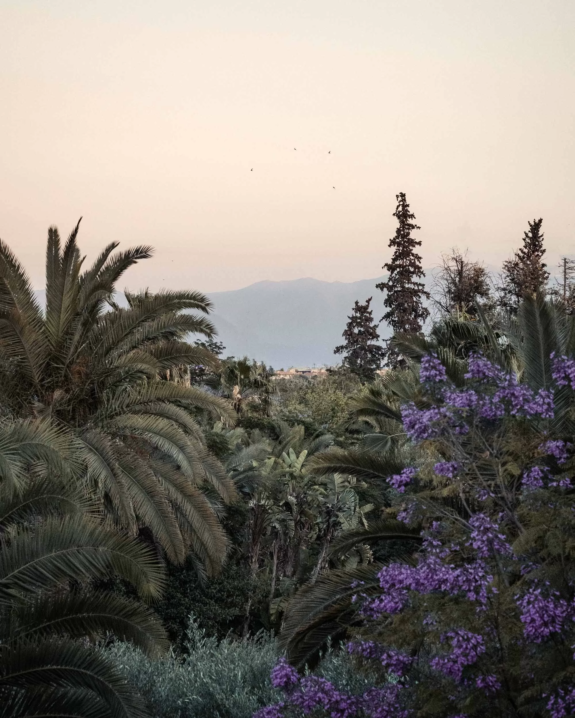 Sunset over a mountain in Marrakech
