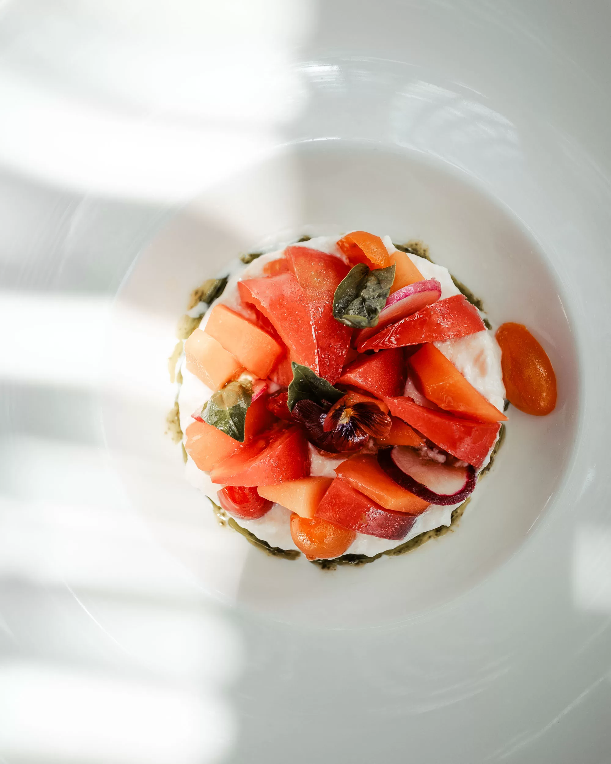 Burrata starter dish