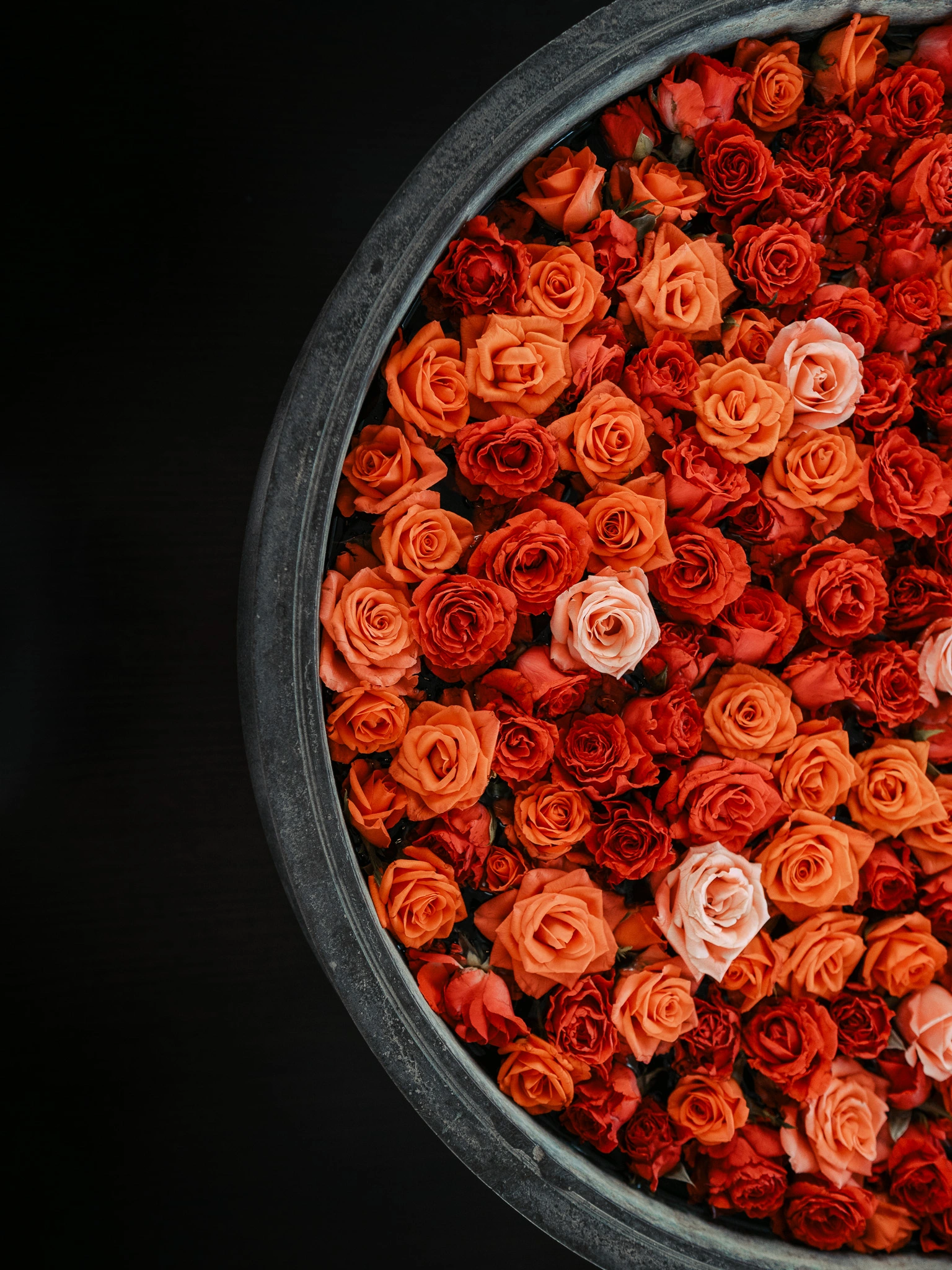 Flower arrangement at the entrance of Four Seasons Marrakech