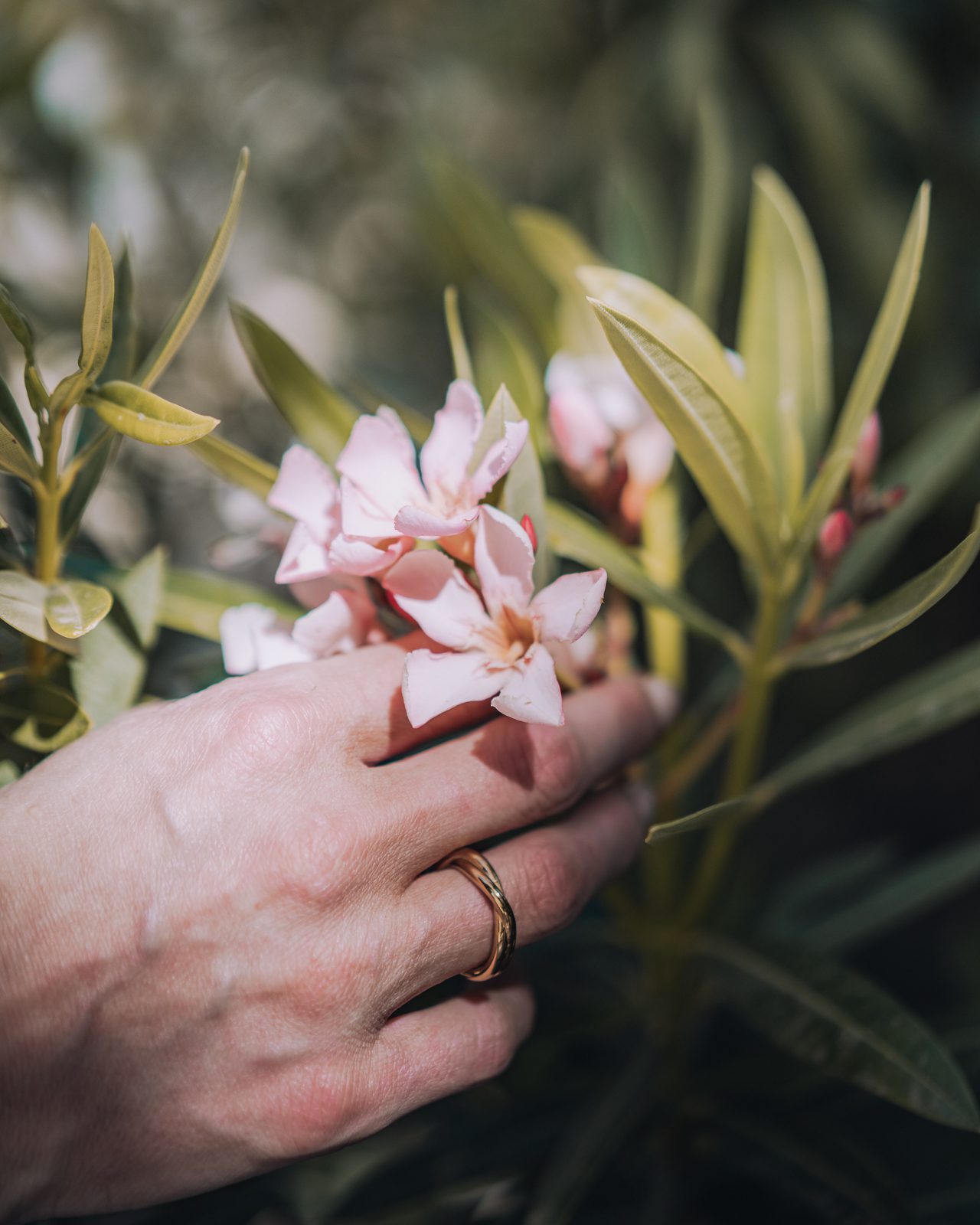 A womans hand picking a delicate flower.
