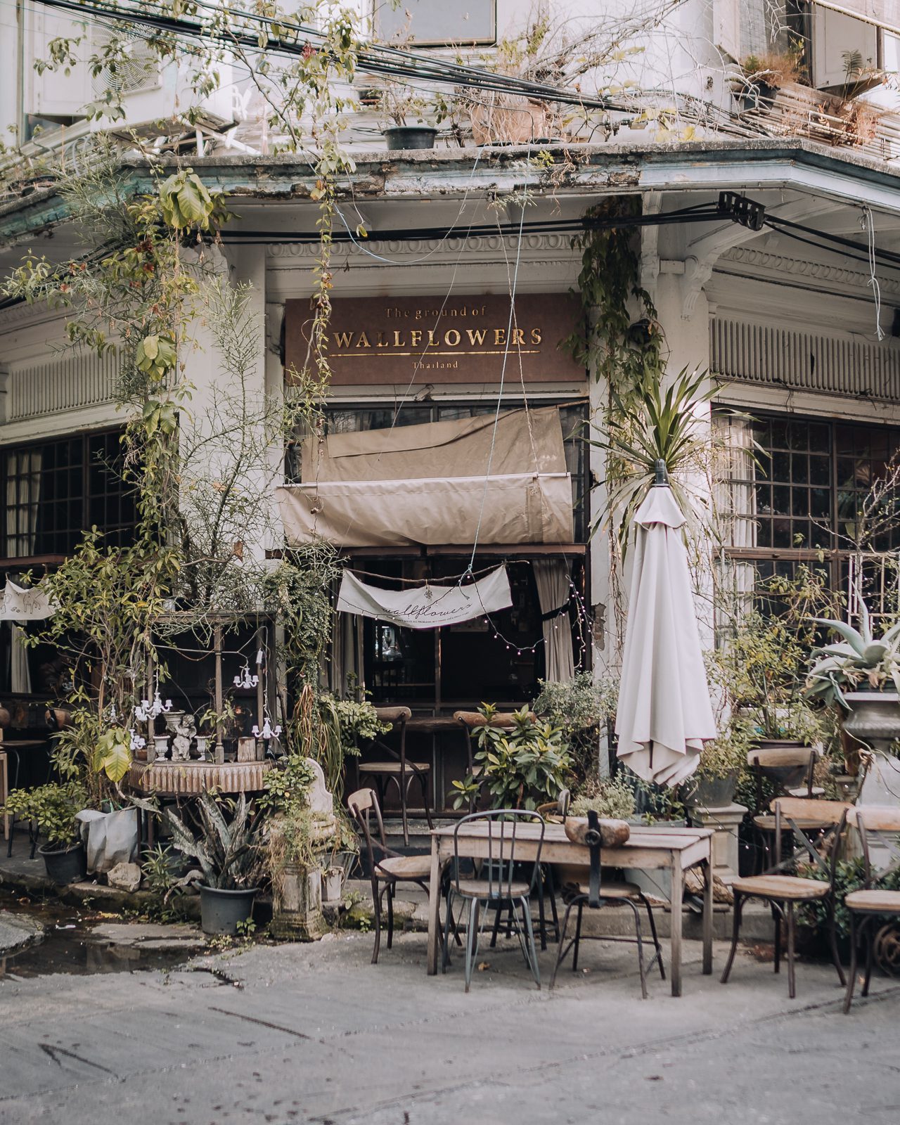 City cafe with creeping greenery crawling up the frame.