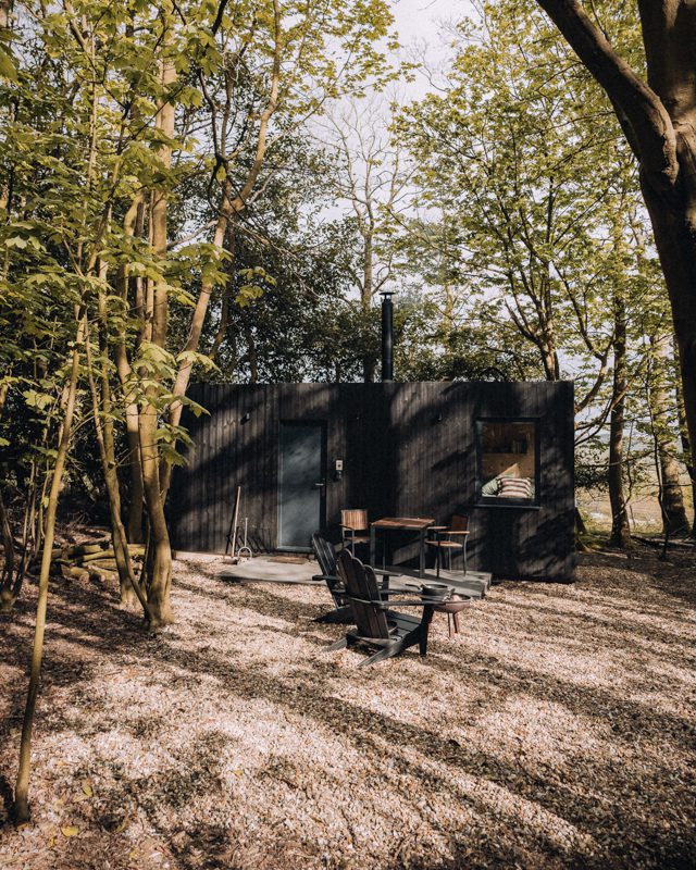 Exterior of dark wood clad cabin in woodland clearing.