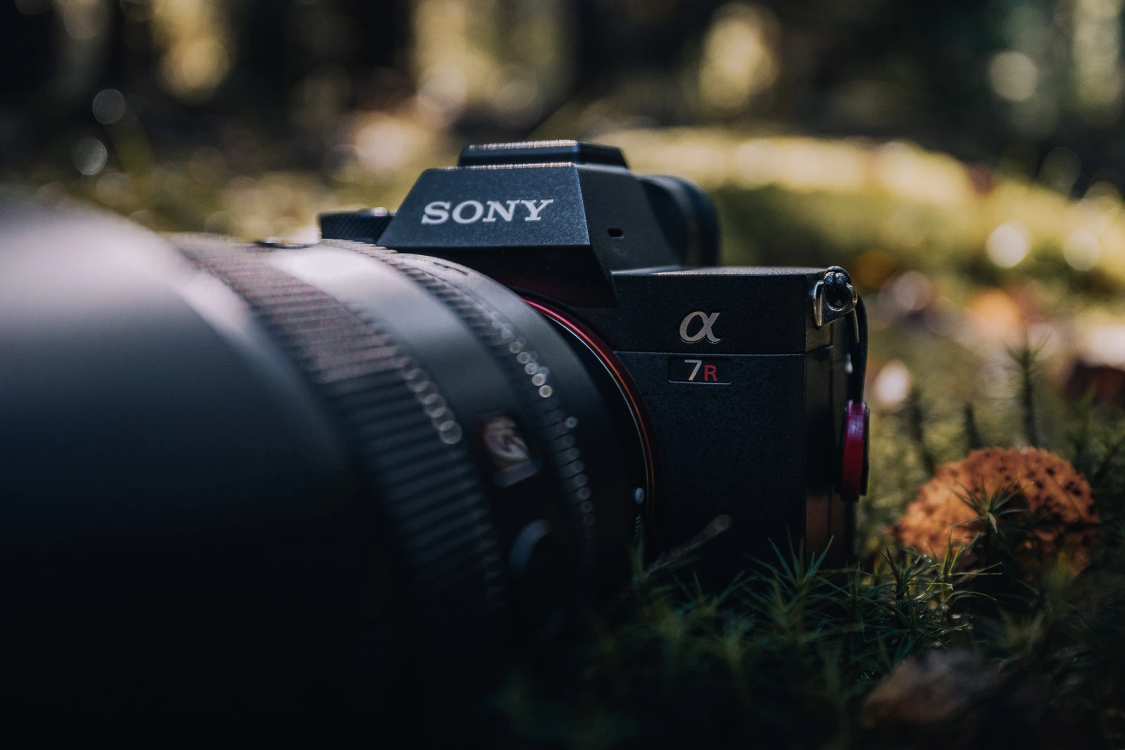 Sony A7R V full-frame camera body used for travel and commercial photography.