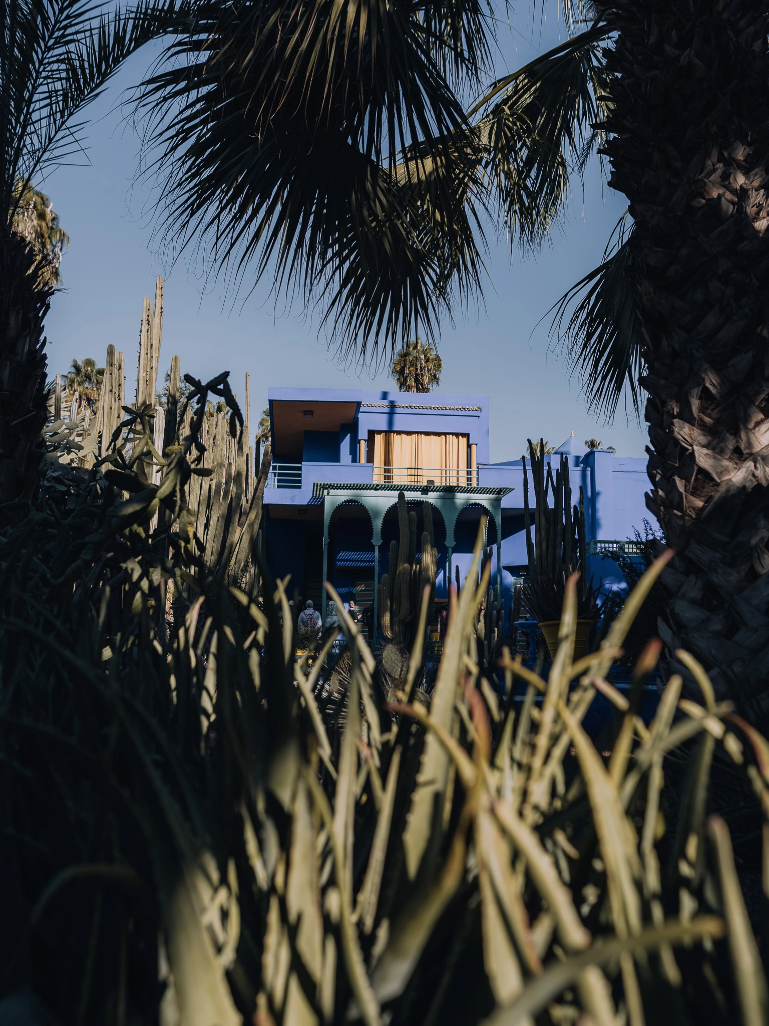 Jardin Majorelle in Marrakech Morocco