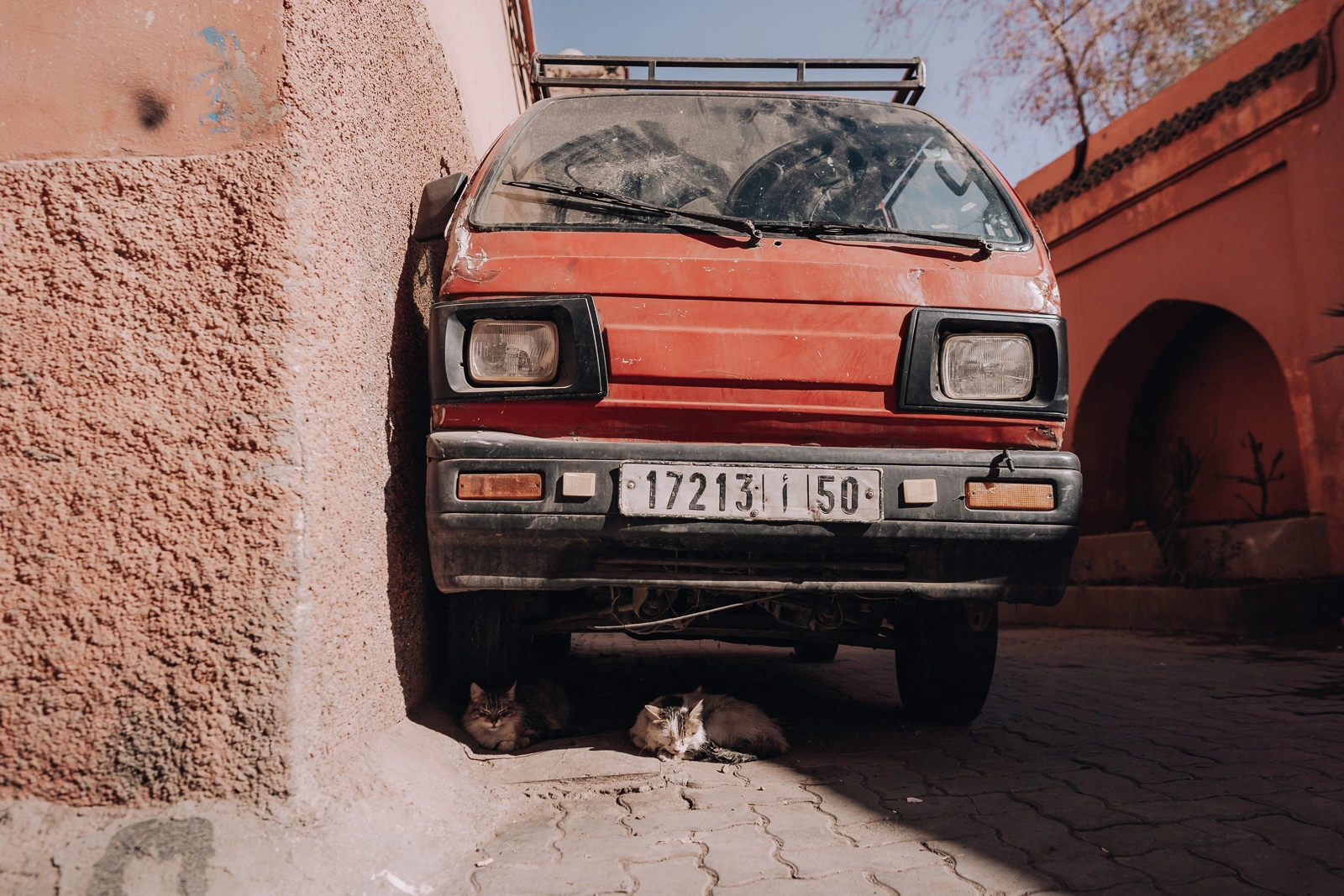 Two cats relaxing beneath an old van in the Marrakech medina