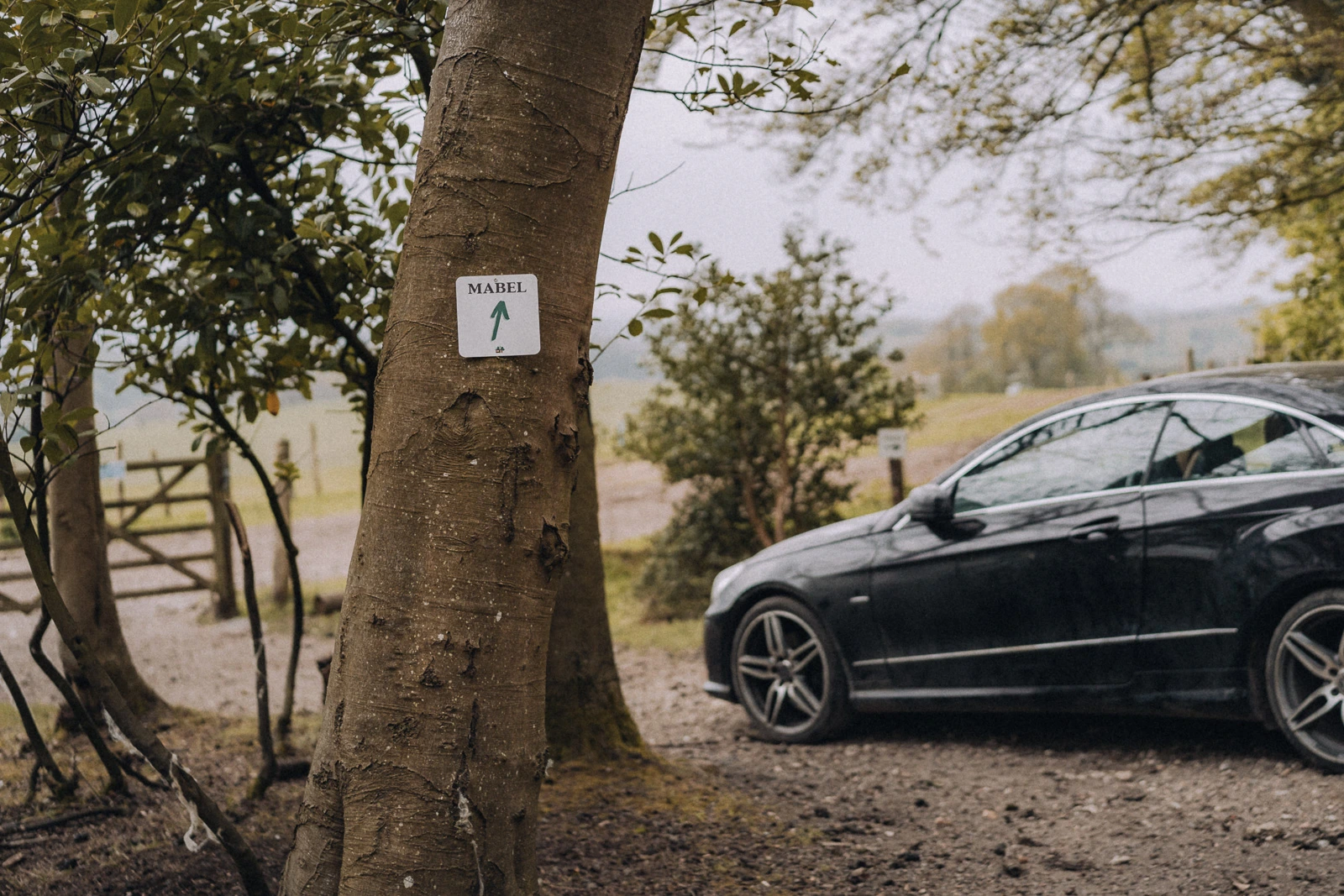 Mercedes parked outside the Unplugged Mabel cabin in East Sussex
