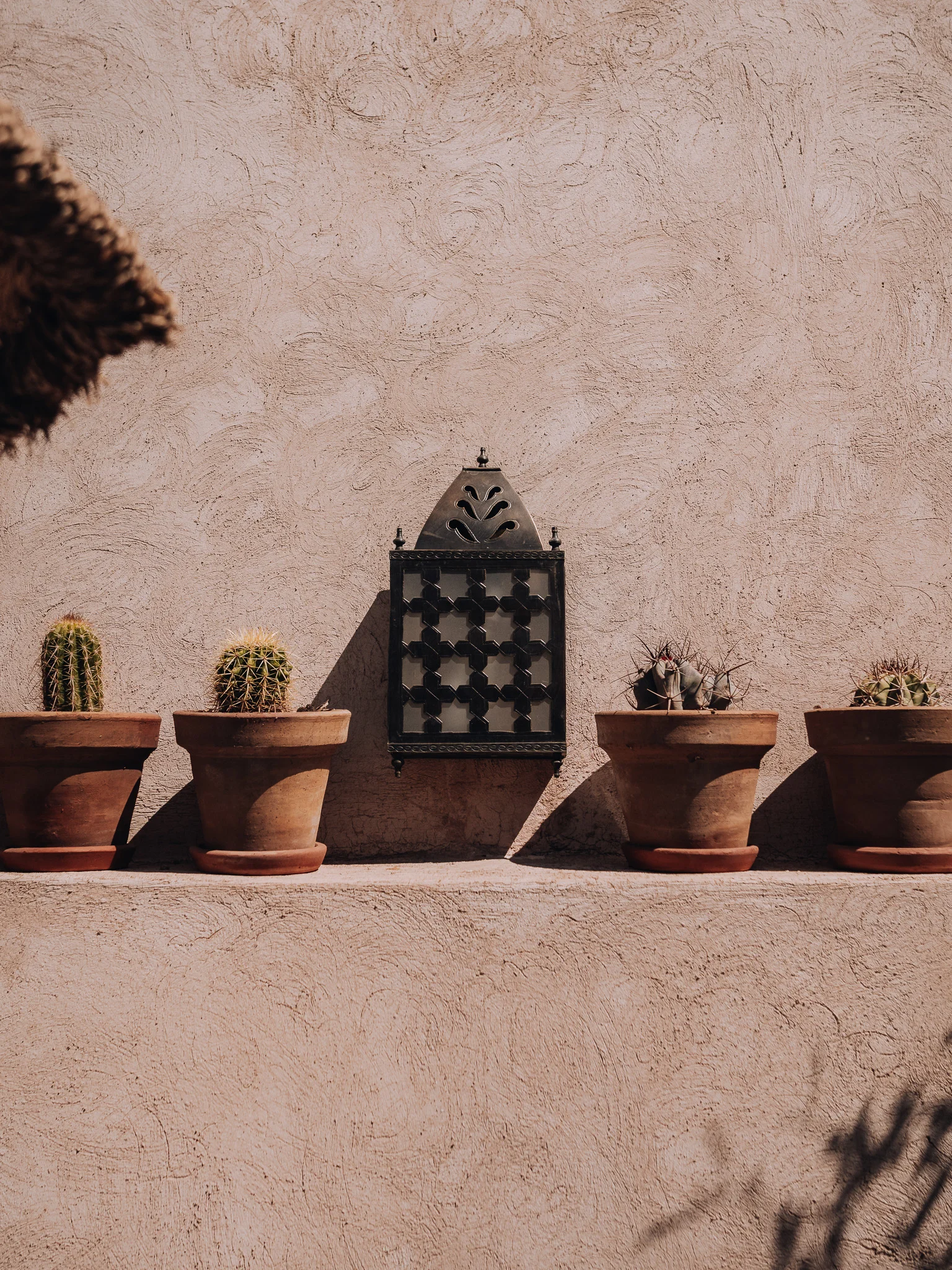 Rooftop plants and a traditional lantern at Riad Solange in Marrakech.