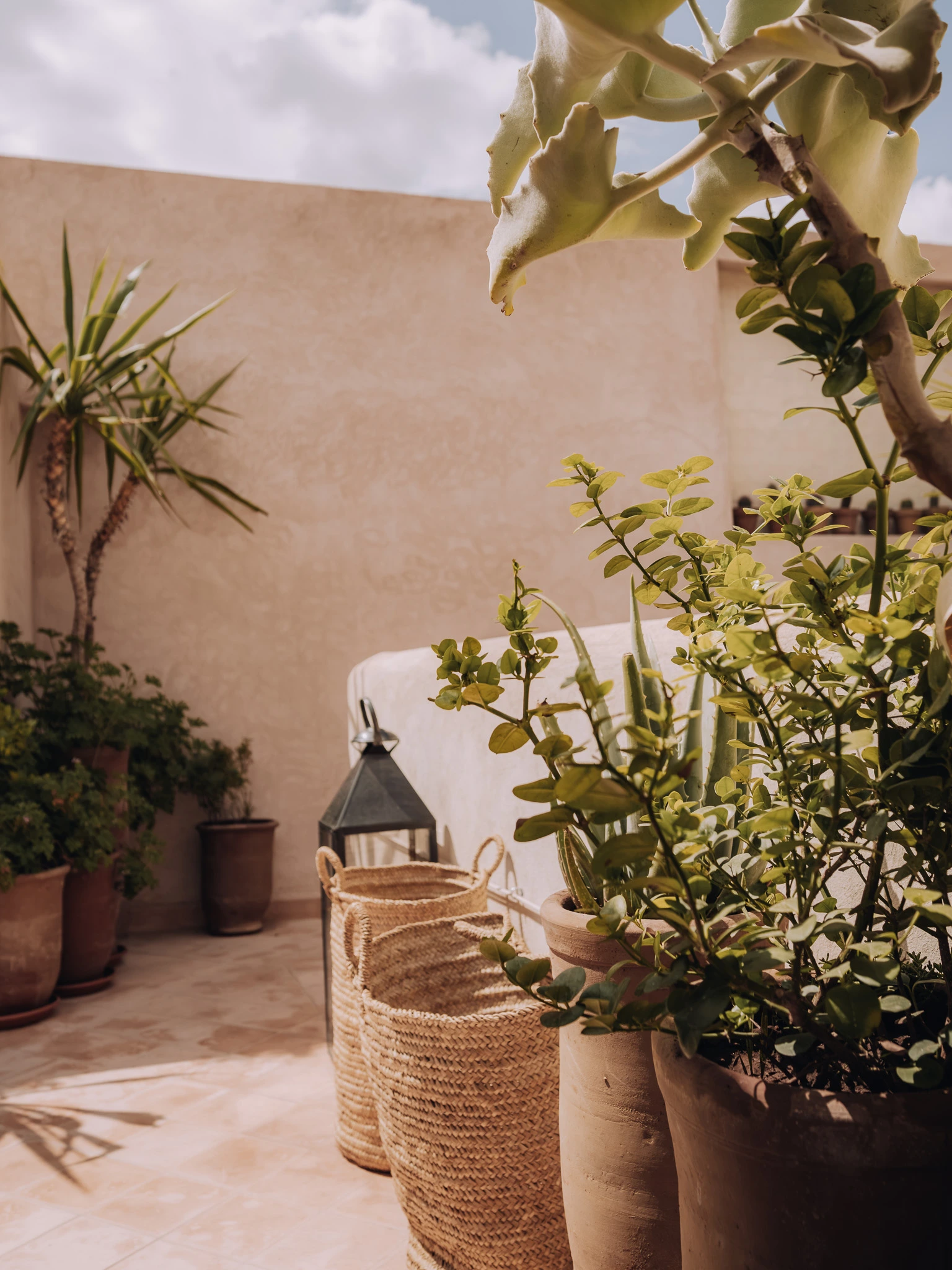 Mediterranean plants and Moroccan details on the rooftop at Riad Solange
