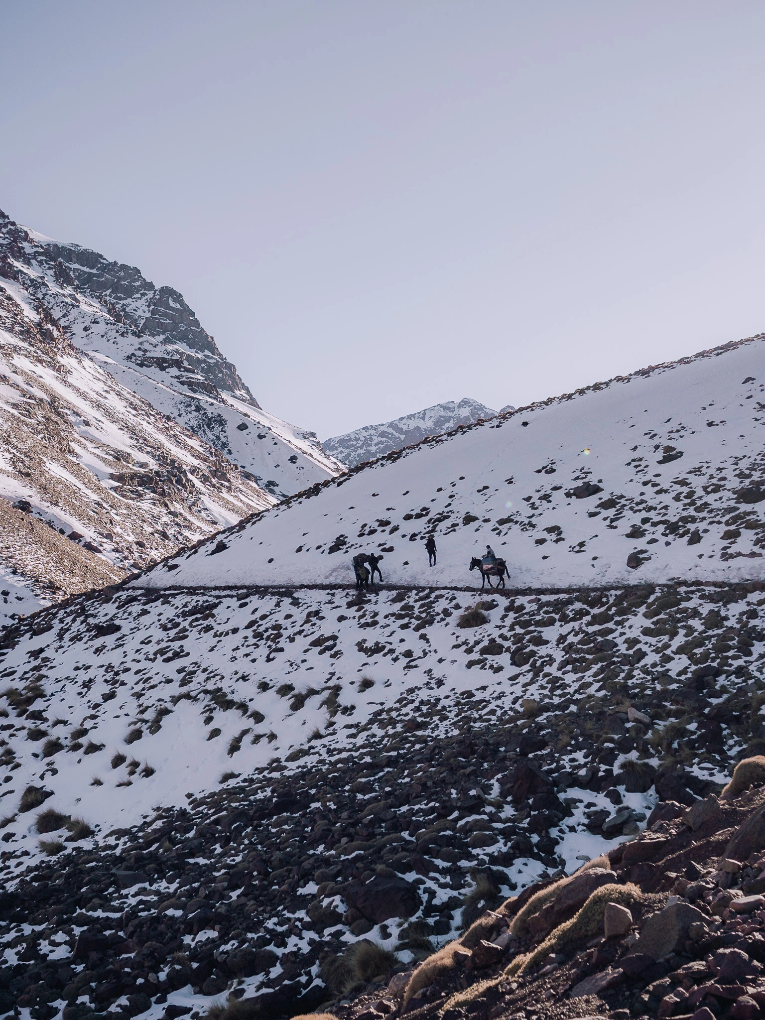 Horses passing along a snowy trail with Mount Toubkal mountains in the background